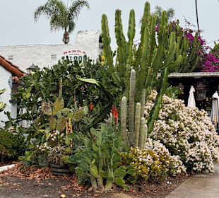 Old town San Diego