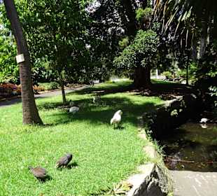 Stadtrundgang Sydney