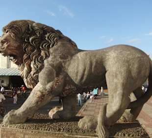 Leone dinanzi la cattedrale