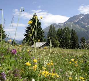 Wandern Verwall St. Anton am Arlberg