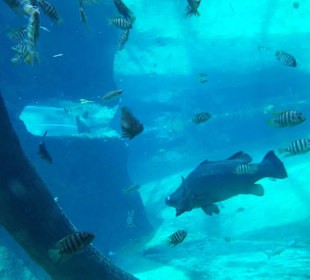 Zoo Wrocław