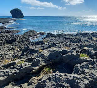 Wandern Kenting NP Chuanfan Rock (Segelfelsen)