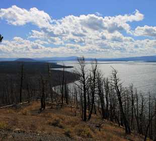 Blick über Yellowstone Lake