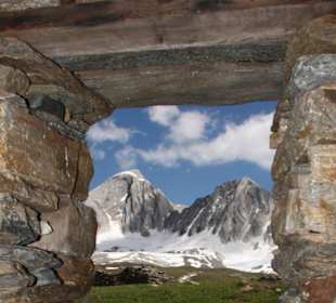 Einblicke in die Natur am Meraner Höhenweg