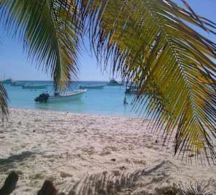 Saona