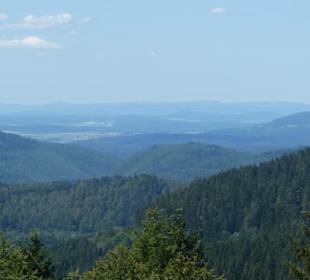 Eindrücke aus dem Rennsteiggarten