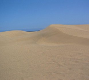 Dünen von Maspalomas