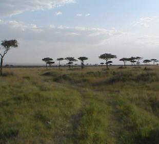Masai Mara