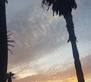 Playa Jardín