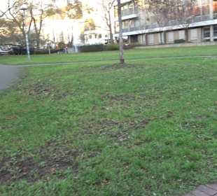 Stadtgarten Stuttgart