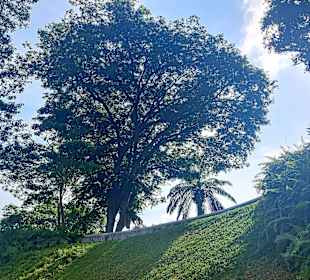 Fort Canning Park