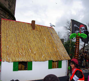 Nürnberger Faschingsumzug 2012