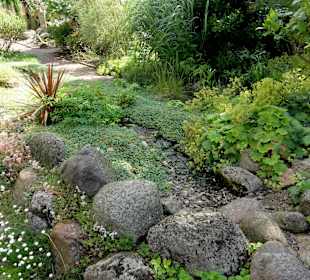 Impressionen aus dem Bibelgarten