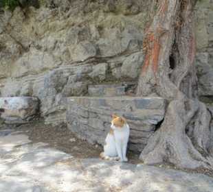 Eindrücke vom Hafen und seinen Bewohnern