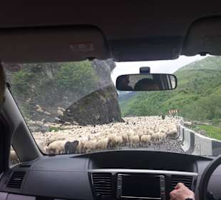 Gruzińska Droga Wojenna