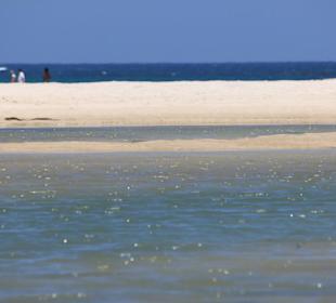 Blick vom River zum Meer