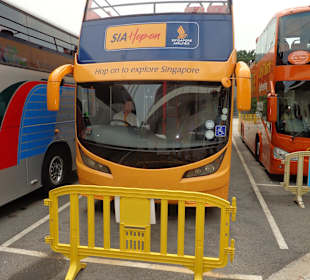 Bus von Singapur Airline