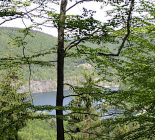 Wandern Nahetal-Waldau