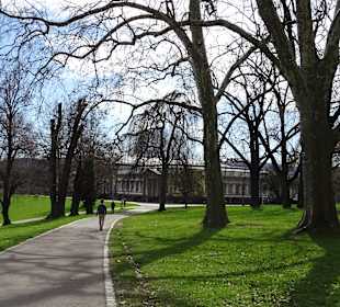 Rosensteinpark Übergang zu Schlossgarten
