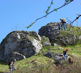 Felsen pur