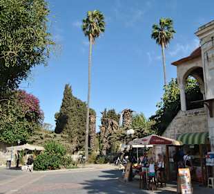 Stadtmauer im Hintergrund/ Ausgrabungsstätte 