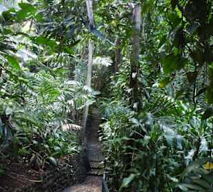 La Vanille Crocodile Park