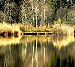 Spiegelung im See