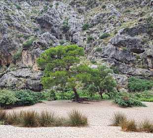 Bucht Sa Calobra / Torrent de Pareis