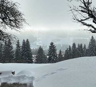 Wandern Scheffau Am Wilden Kaiser