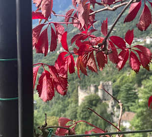 Ausblick auf die Brunnenburg