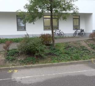 Klosterkirche St. Gallus