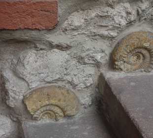 Versteinerungen an der Treppe