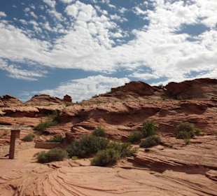 Etwas unwegsames Gebiet - einfach Klasse
