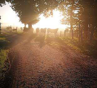 Wandern Kirchanschöring