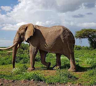 Sonstiges Freizeitbild