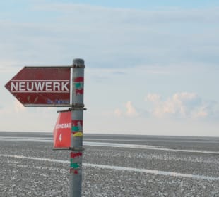 Wattwagenfahrt zwischen Duhnen und Neuwerk