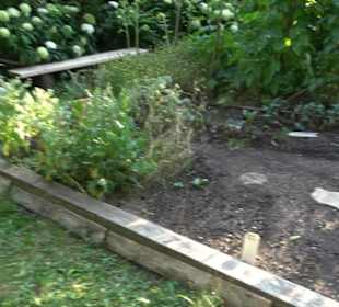 Interkultureller Gemeinschaftsgarten