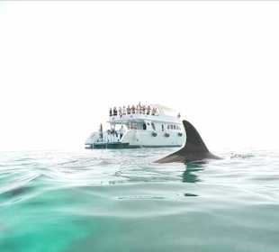 Coral Tours Aqua Center El Gouna