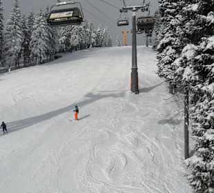 FIS-Rennstrecke unter der Seilbahn