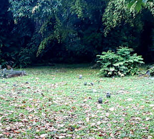 Jalan Kubor Friedhof neben Malabar Moschee