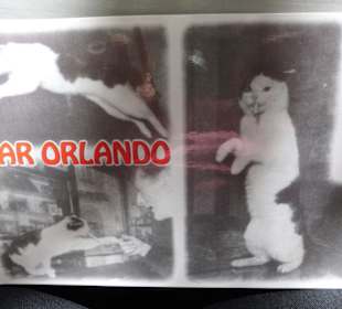 Erinnerungen an Orlando