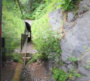 Auf dem Weg zu den Gletschern