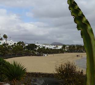 Playa de las Cucharas