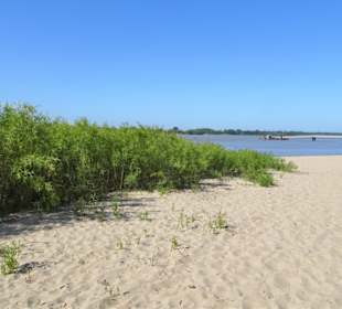 Strandspaziergang am Rissener Ufer