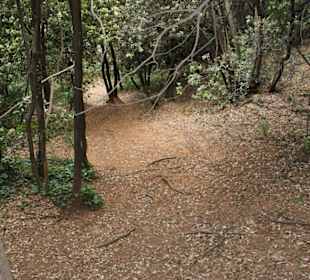 Kurz nach dem Gipfel, sehr steil!
