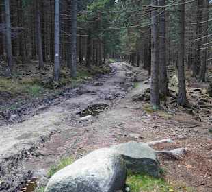 Riesengebirge/Karkonosze
