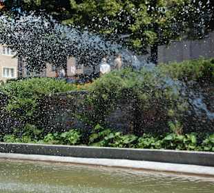 Fontanna przy Collegium Maximum