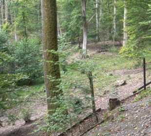 Altwege Rundwanderung Bebenhausen