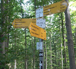 Tour entlang der Traifelbergfelsen