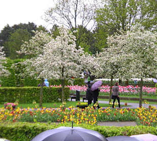 W którą alejkę? trudny wybór wszędzie pięknie   